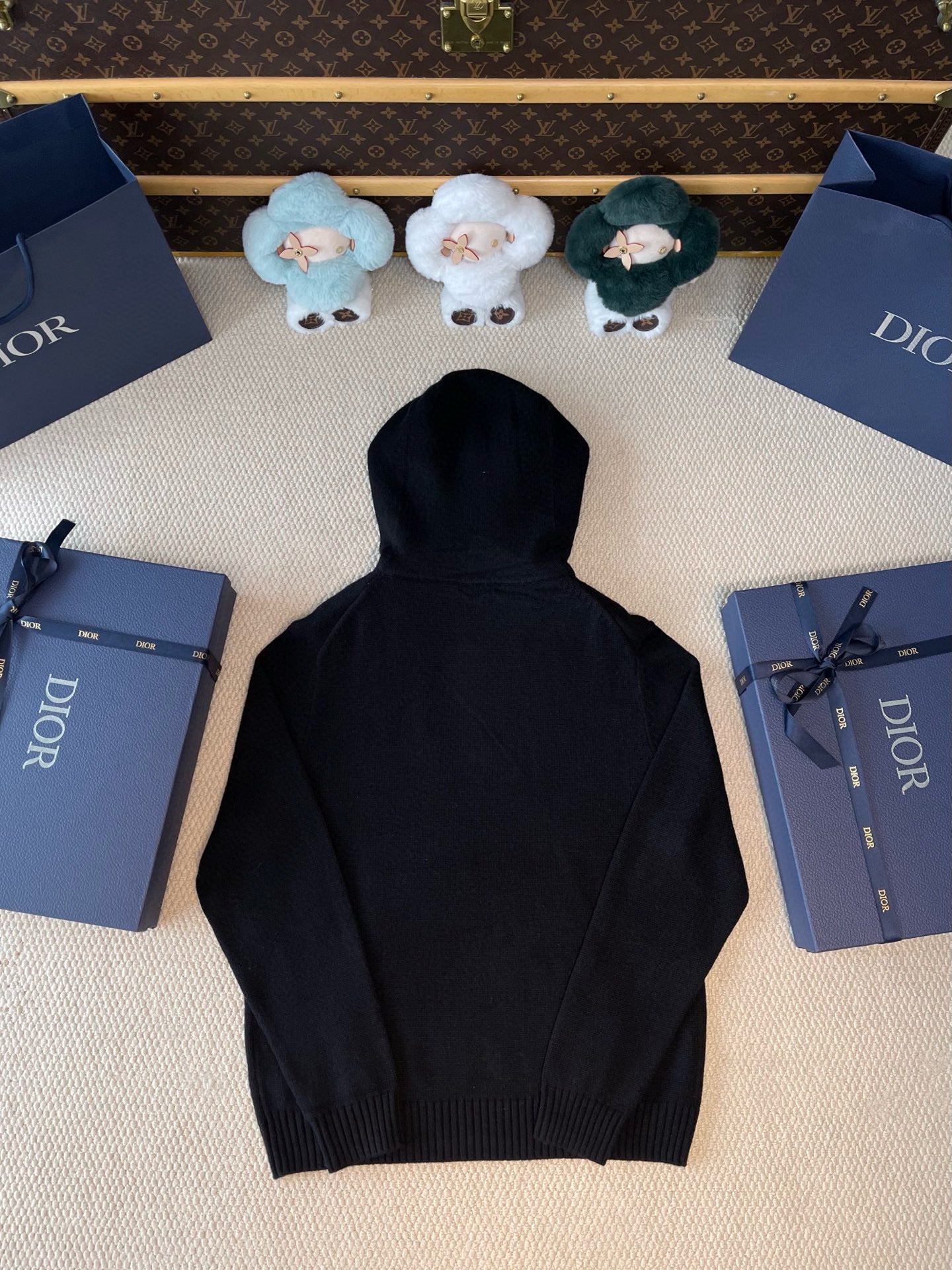 Dior Hoodie