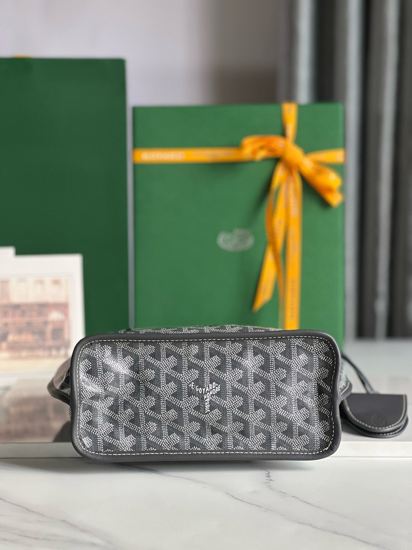 GOYARD ANJOU MINI 20*10*20