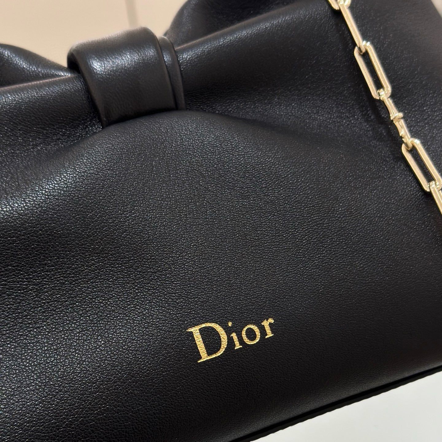 Dior Bow Knot Bag
