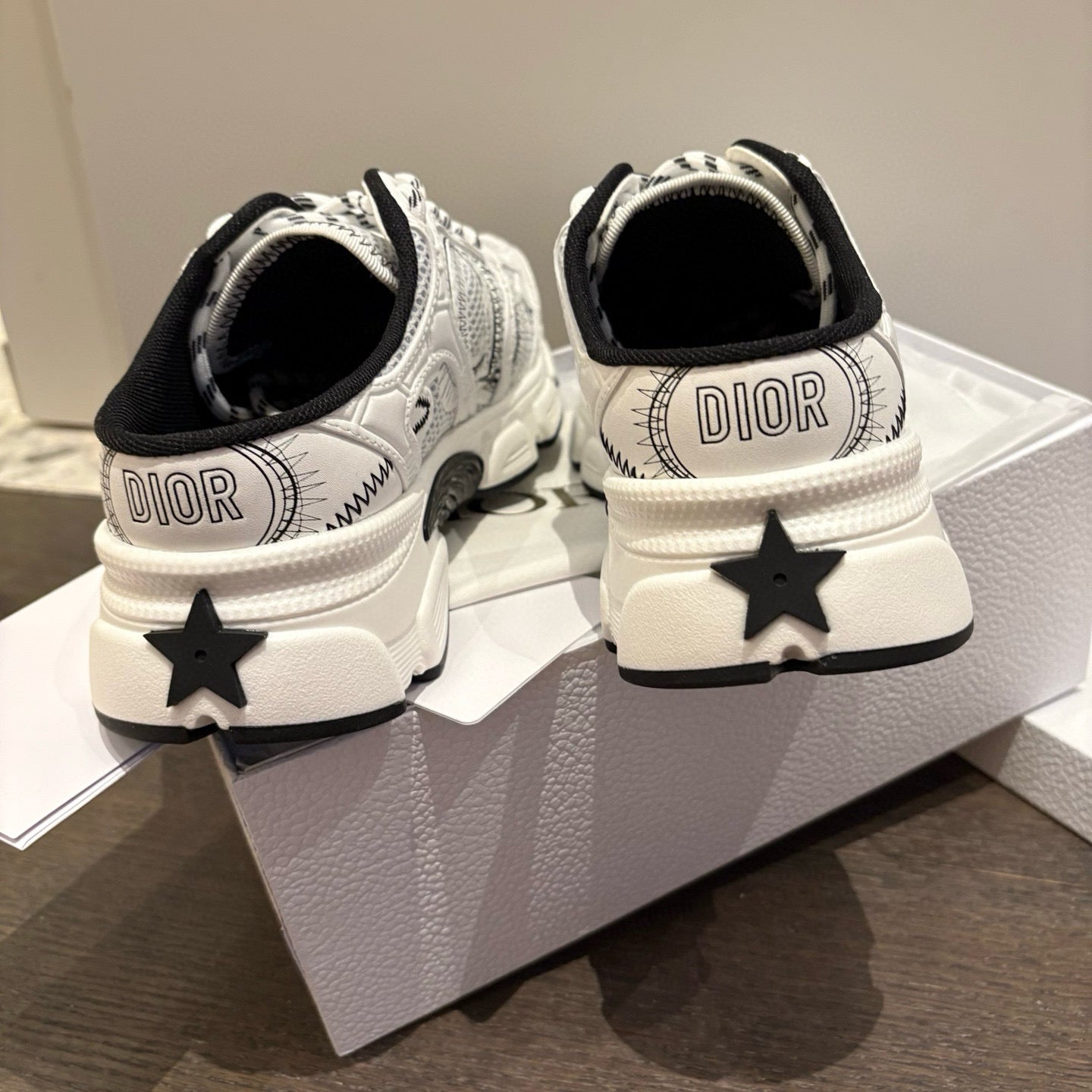 Dior Sneakers