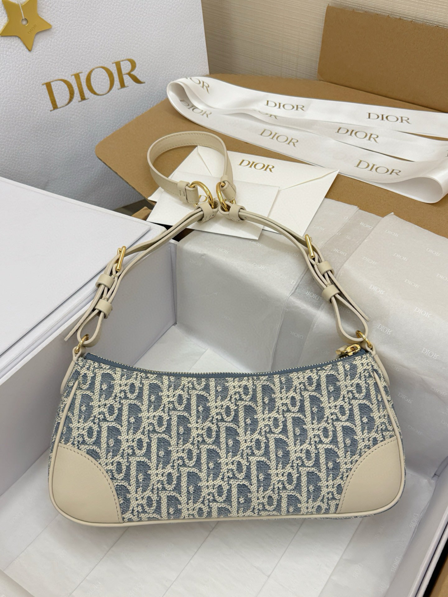 Dior Hobo Bag