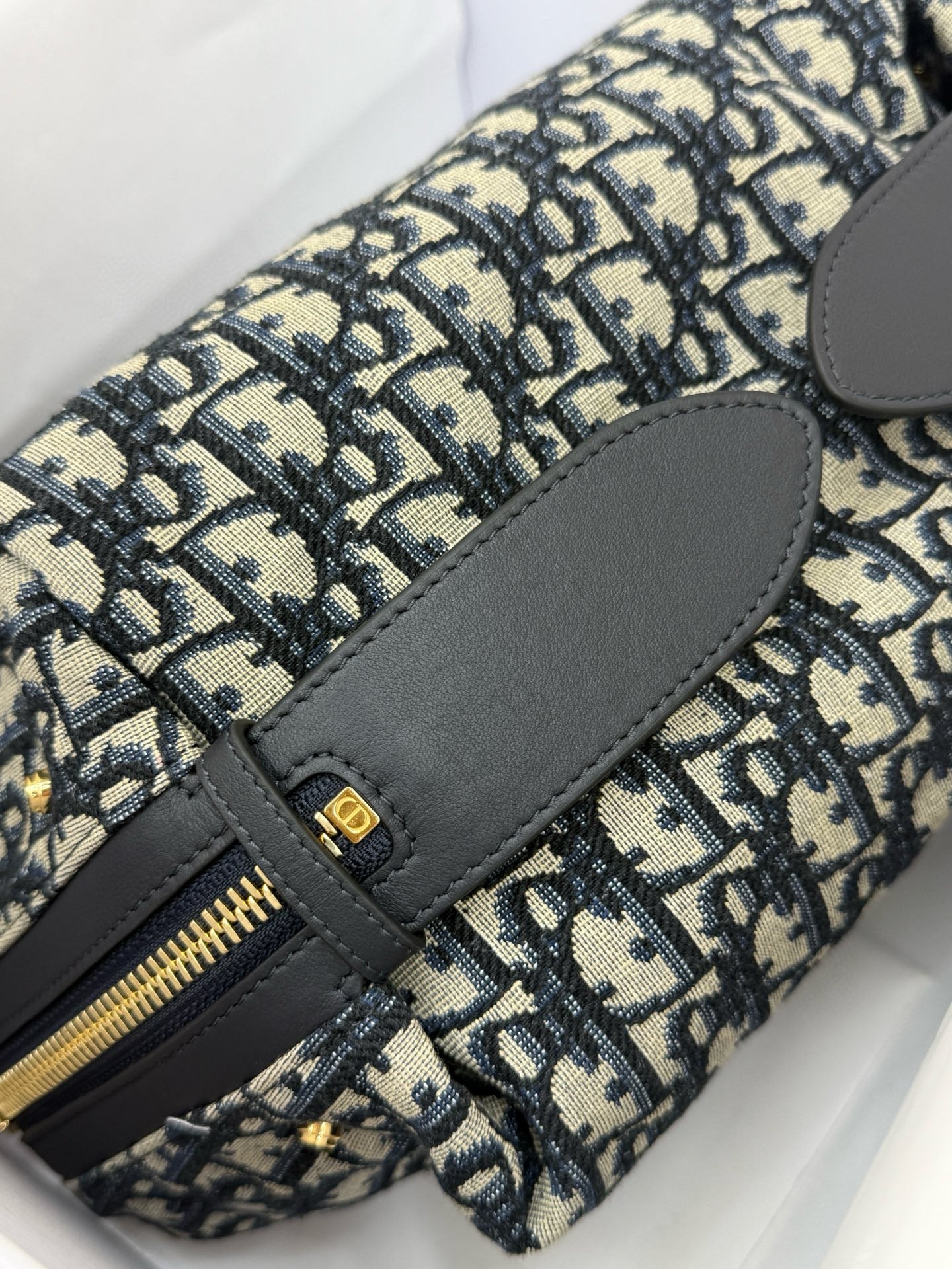 Dior Hobo Bag