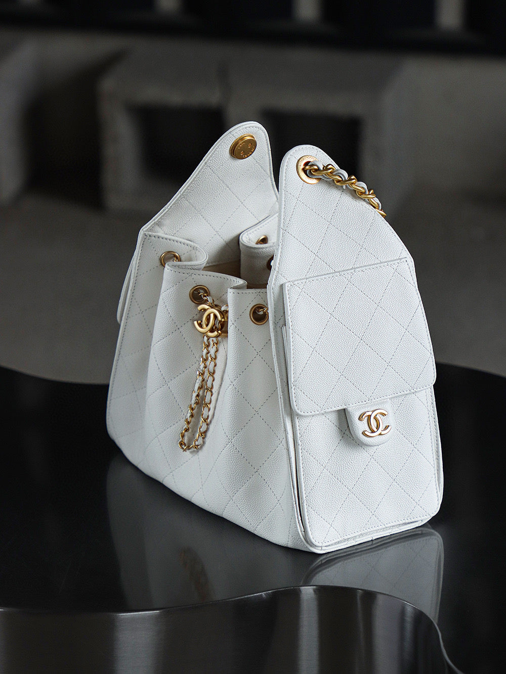 Chanel Hobo 25Bag (small)