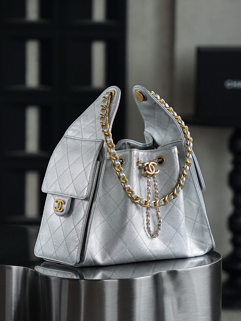 Chanel Hobo 25Bag (small)