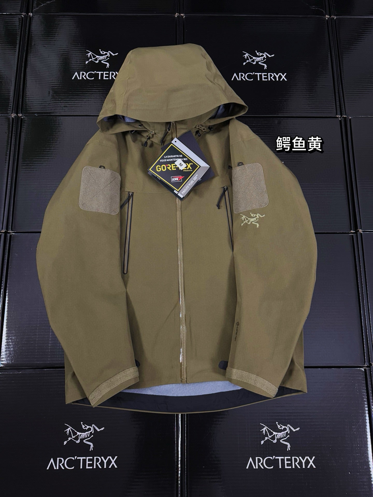 Arcteryx Jacket