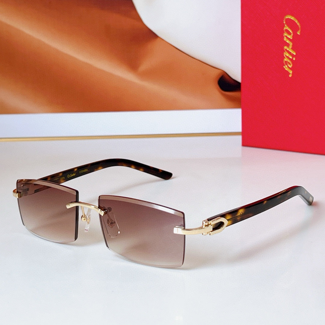 Cartier Sunglasses