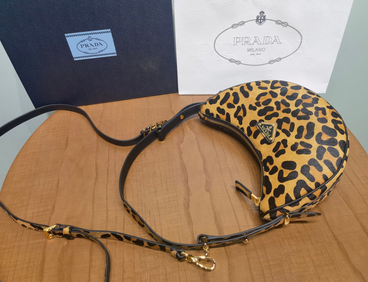 Prada Arque Moon Bag