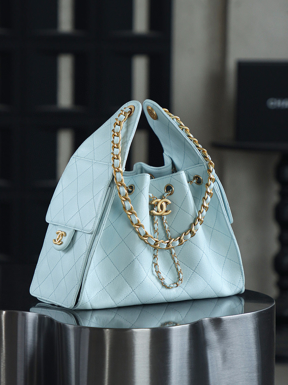 Chanel Hobo 25Bag (small)