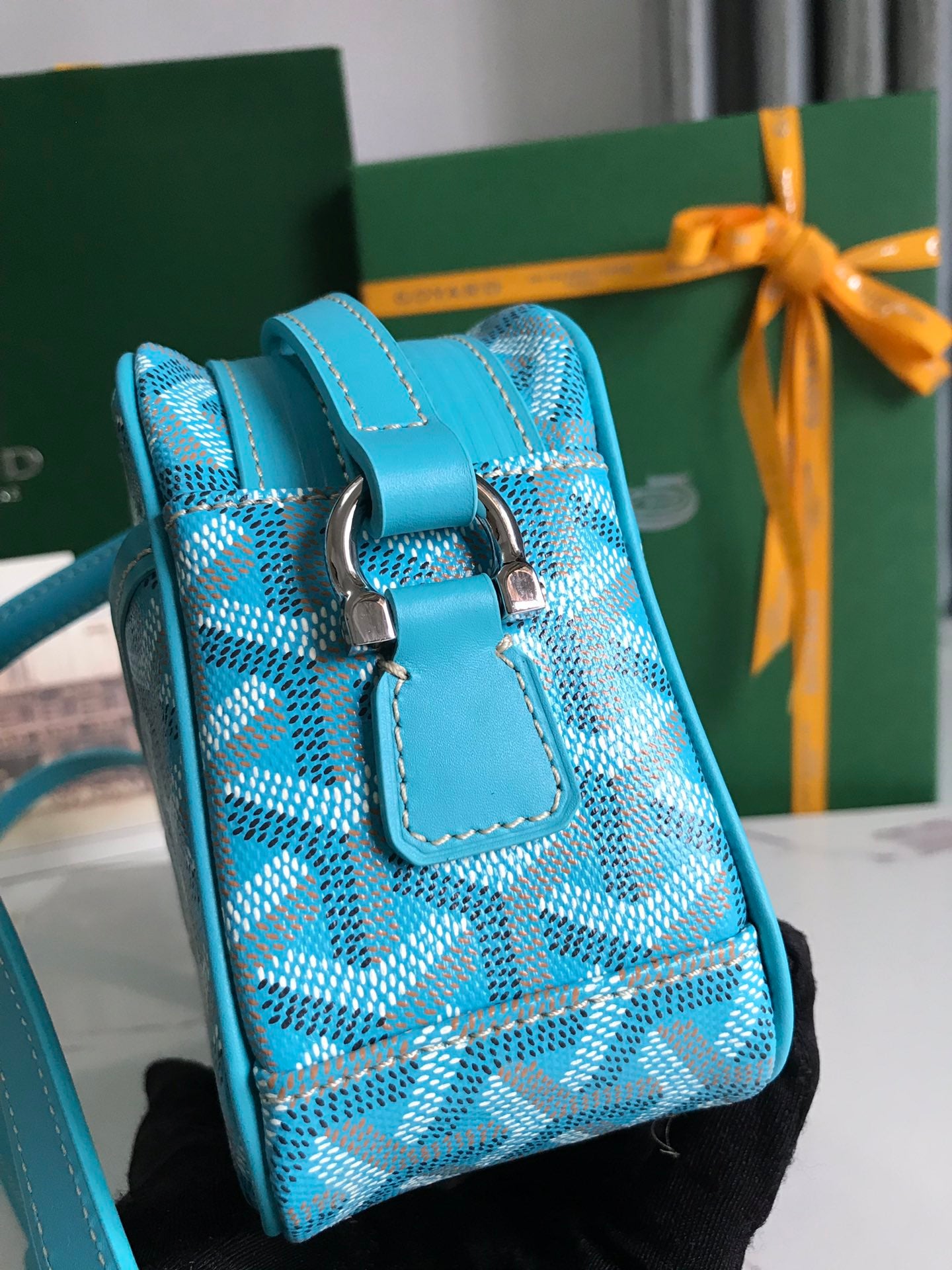 Goyard Cap-Vert PM Bag