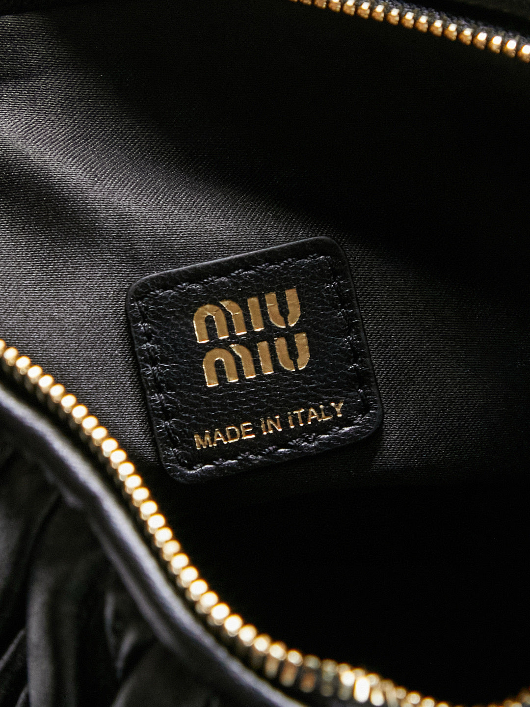 Miu Miu Case Bag