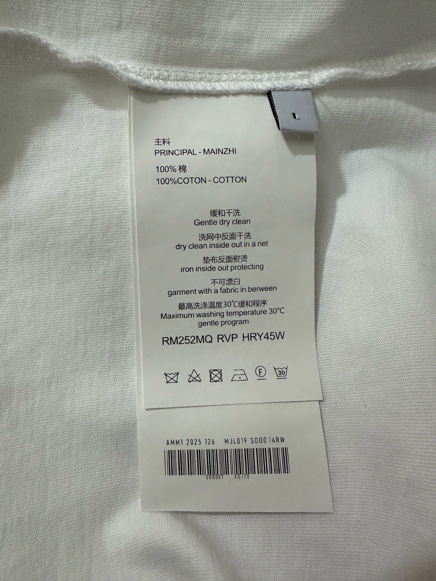 MM6 Singlet
