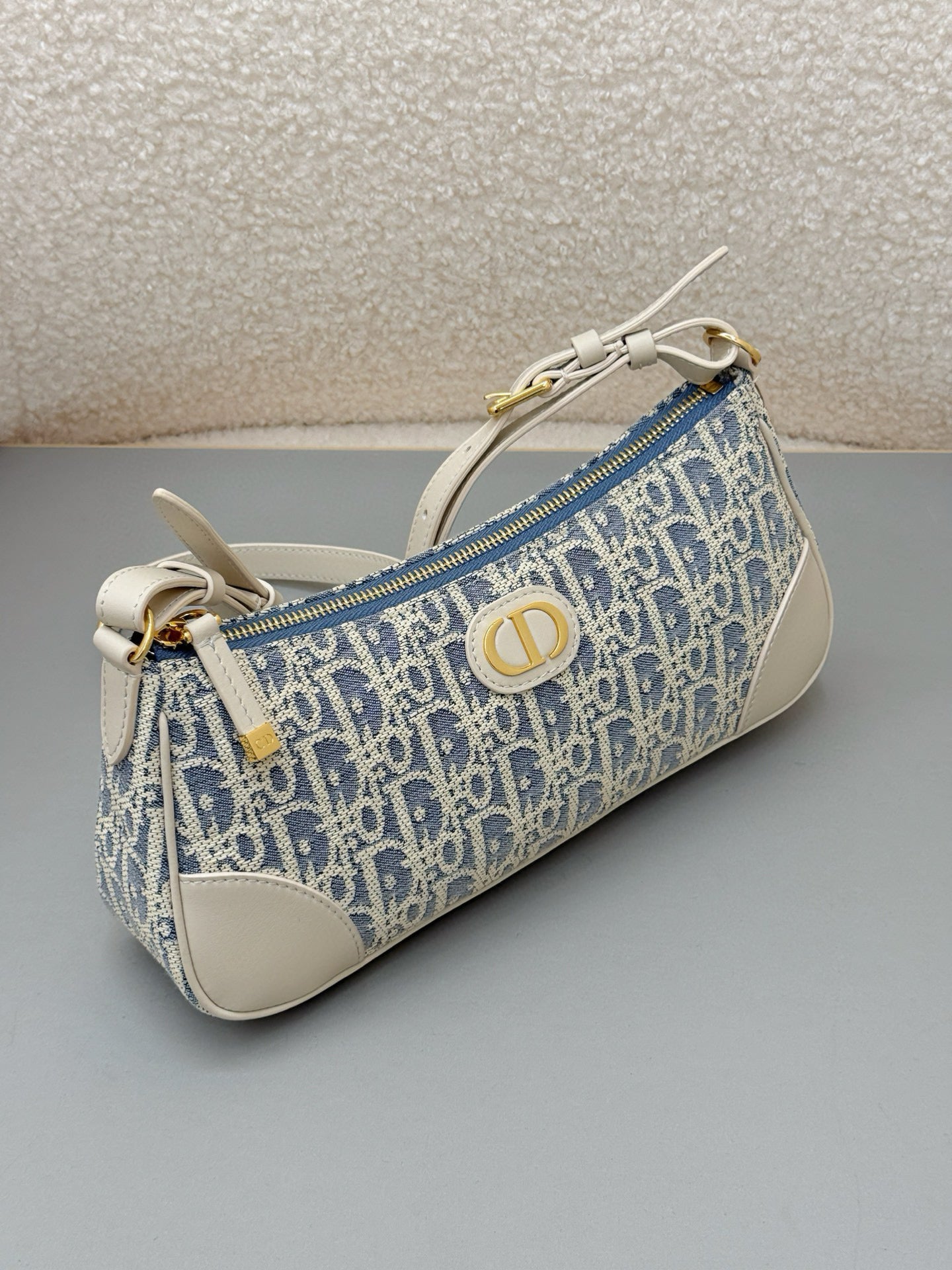 Dior Hobo Bag