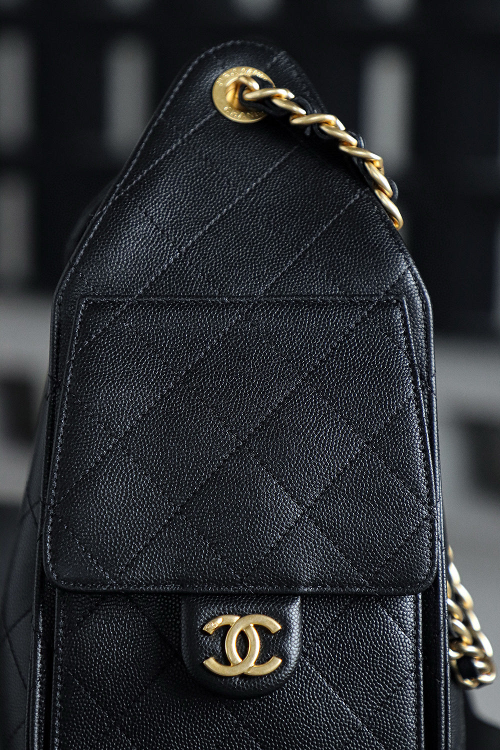 Chanel Hobo 25Bag (small)