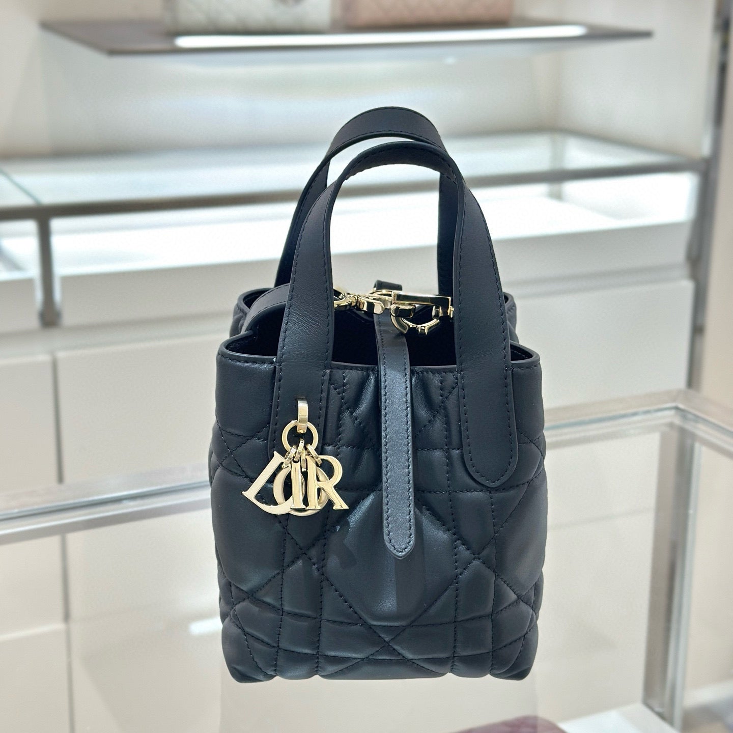 Dior Toujours Mini Bag