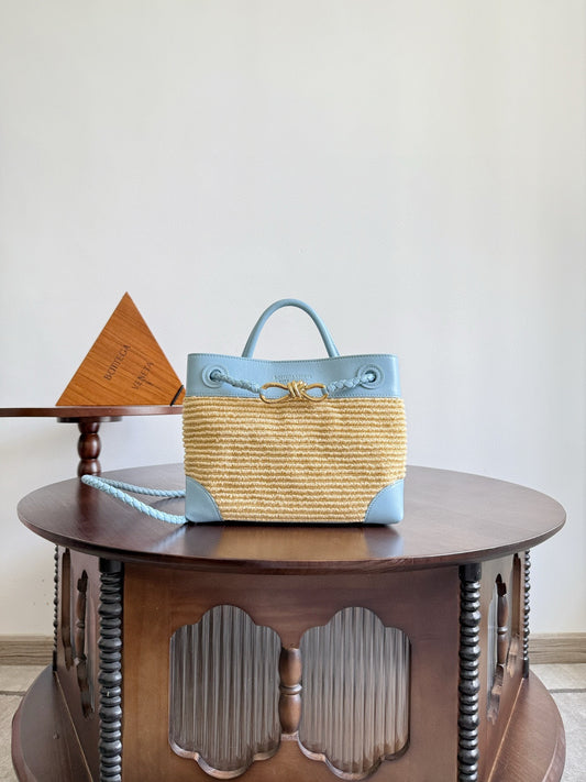 Bottega Veneta Andiamo Handbag