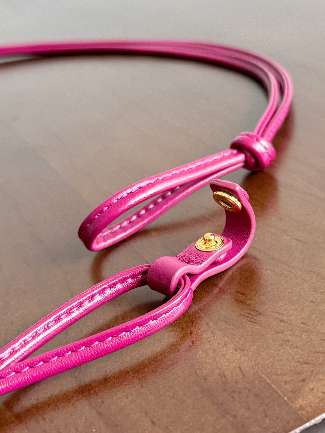 Bottega Veneta Dustbag