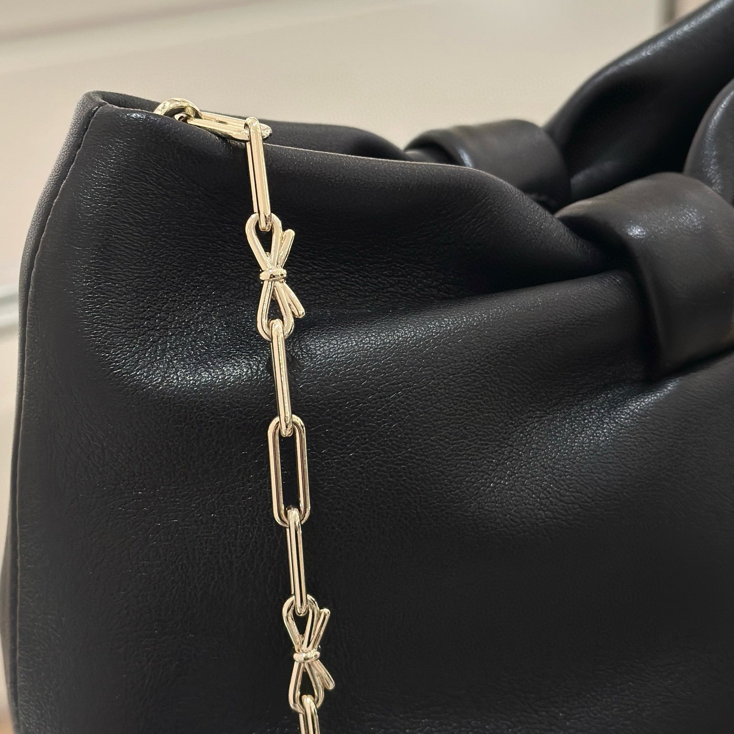 Dior Bow Knot Bag