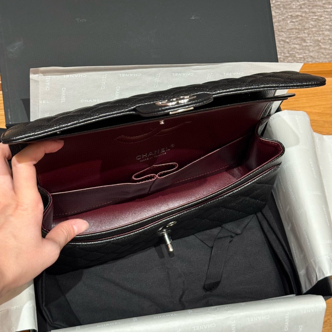 Chanel Classic Flap 25 (Medium)