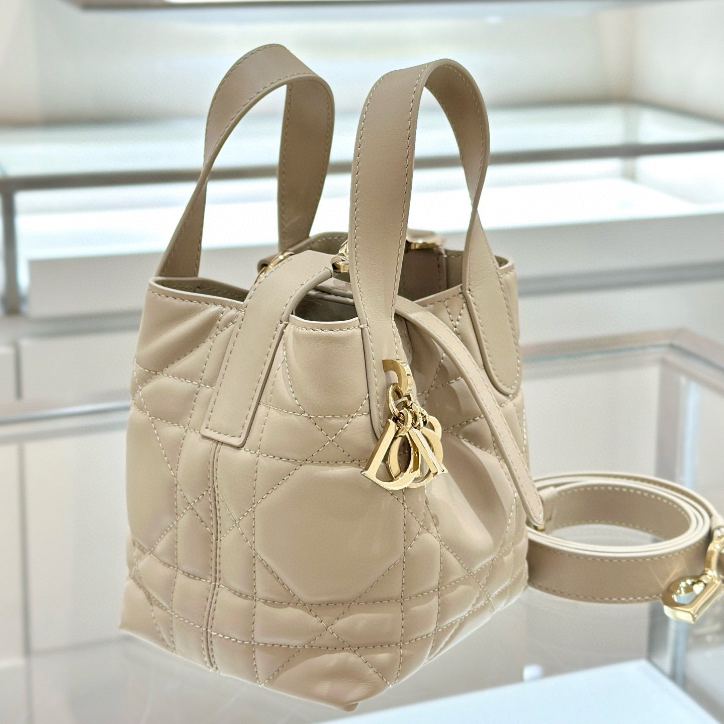 Dior Toujours Mini Bag