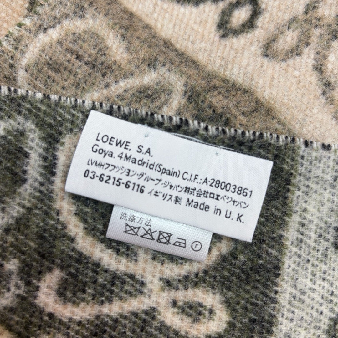 Loewe Scarves