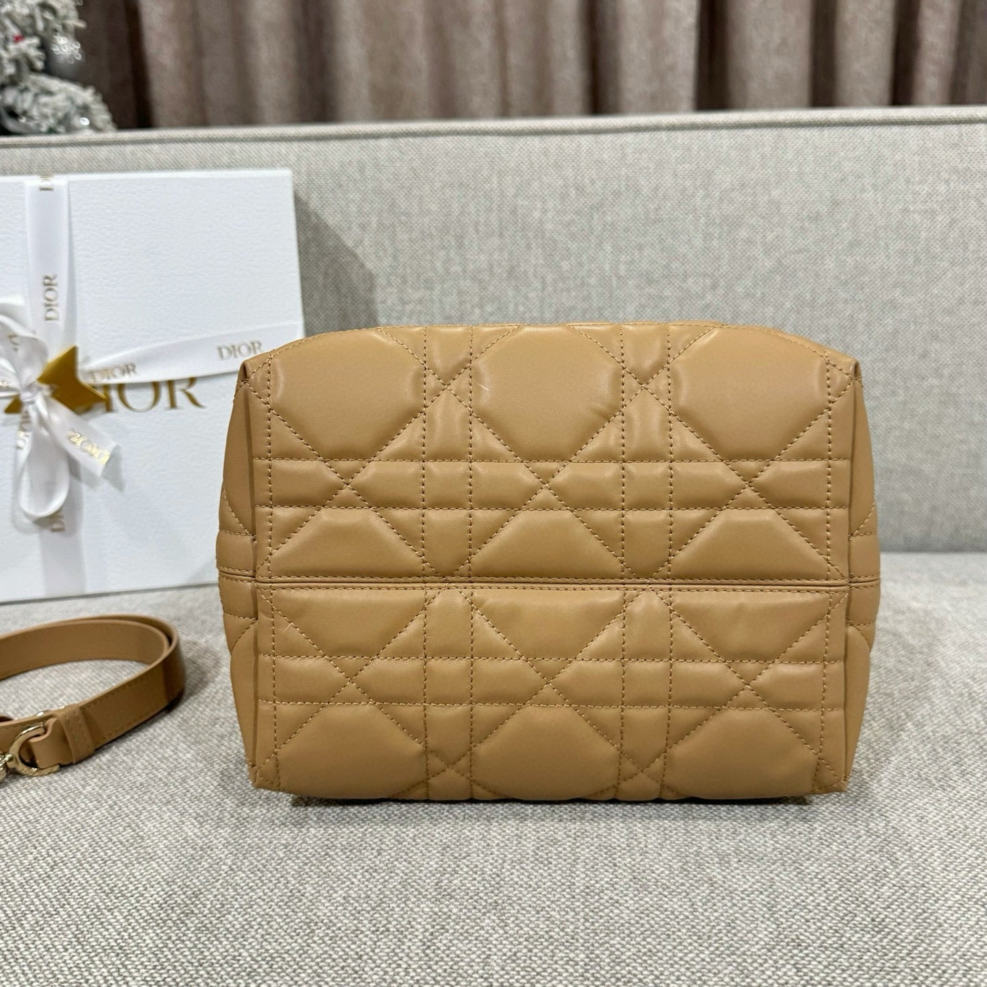 Dior Toujours Bag