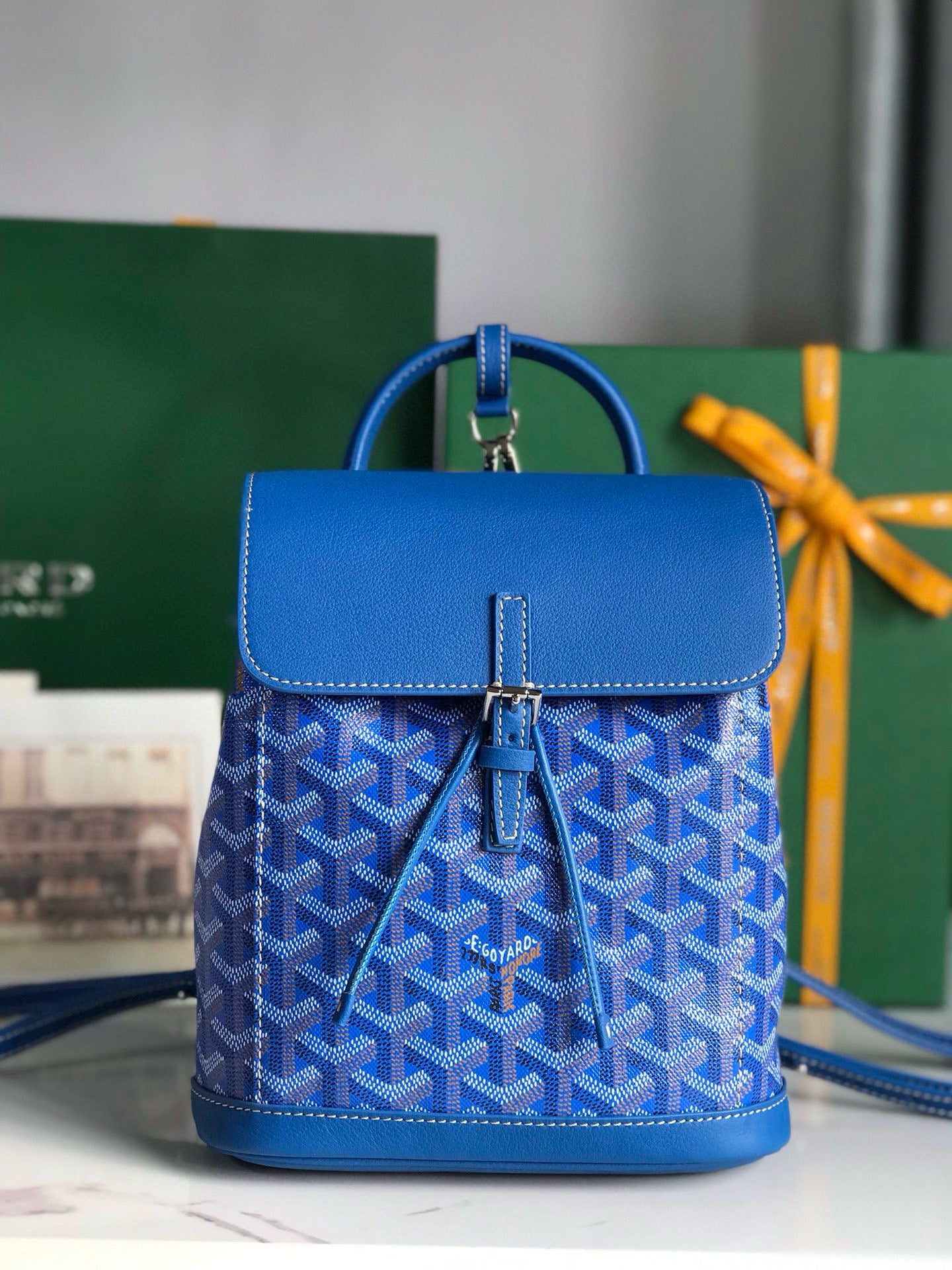 Goyard Mini Alpin Backpack