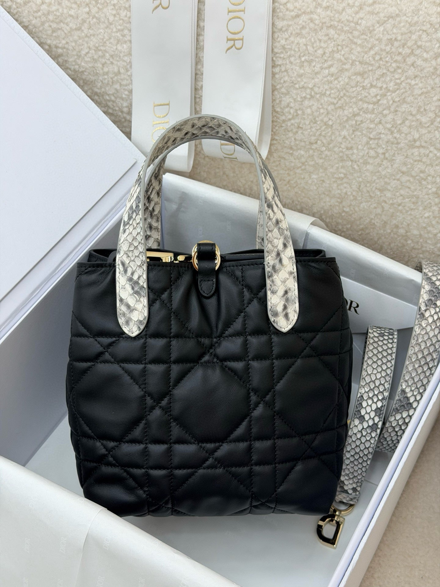 Dior Toujours Bag