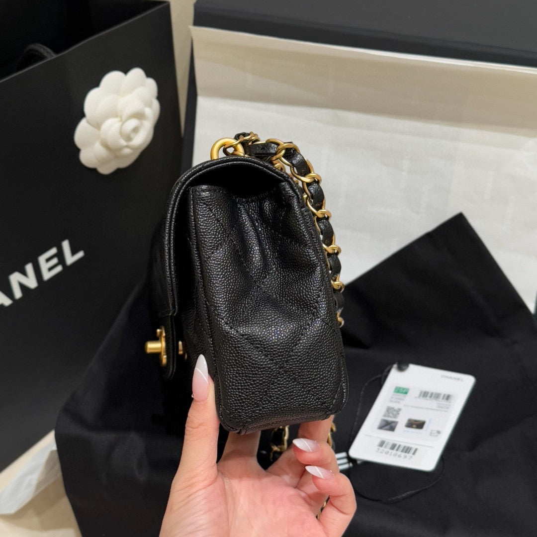 Chanel 25P Mini Flap (13x18x5.5cm)