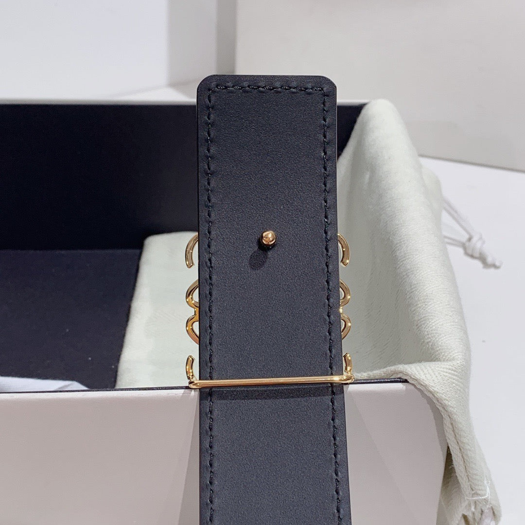 Loewe Belt