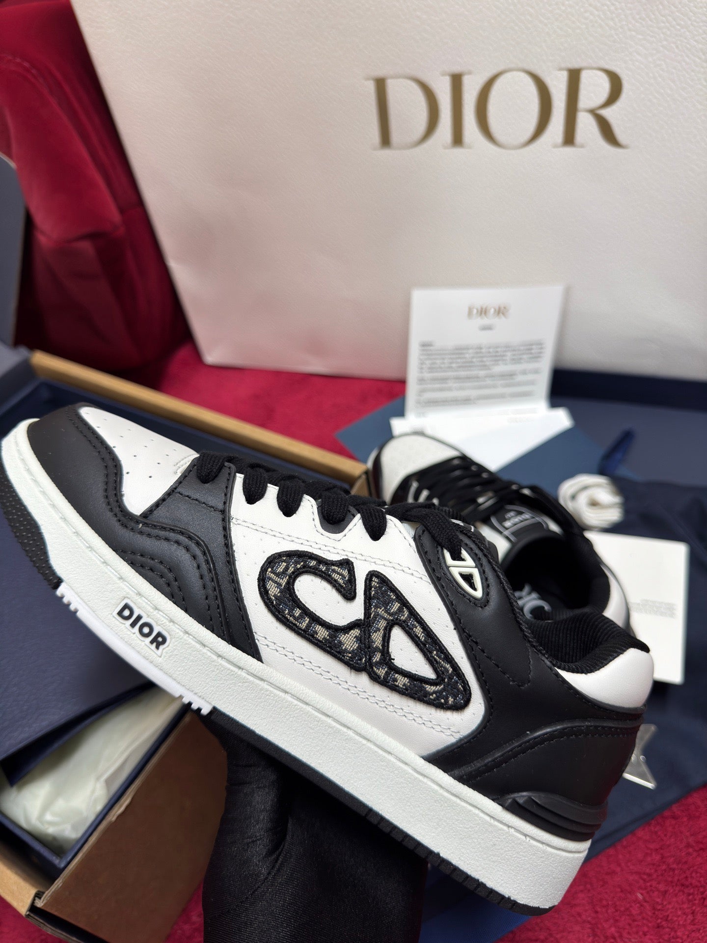 Dior Sneaker