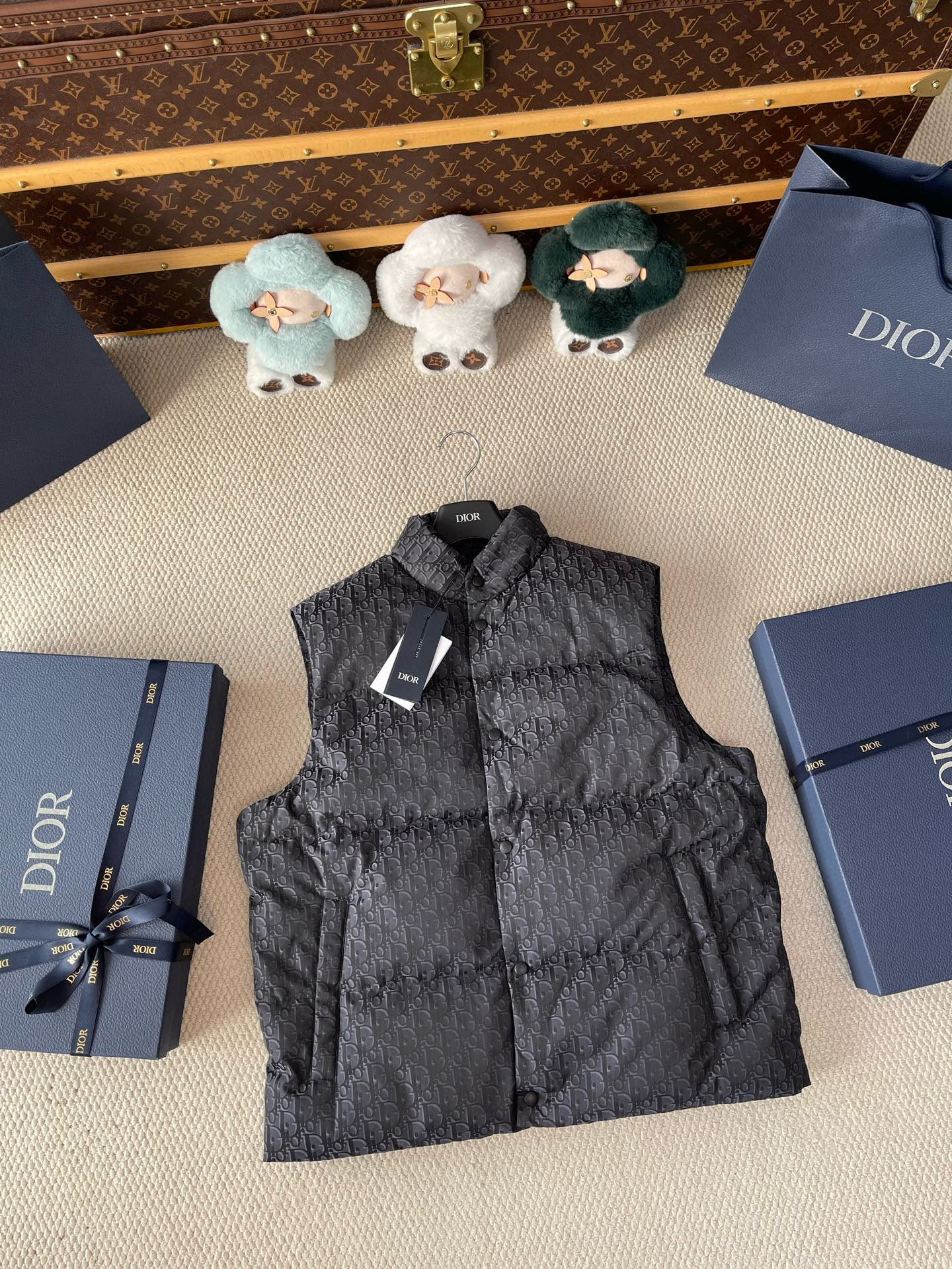 Dior Down Vest