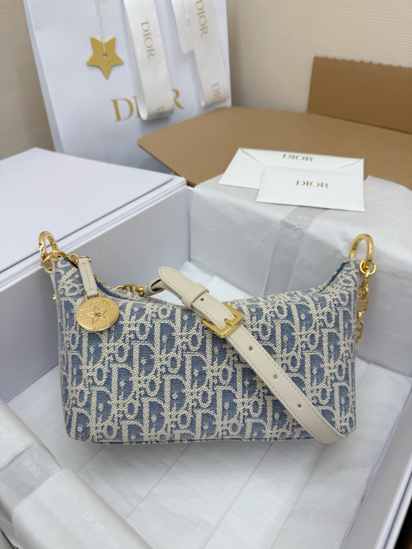 Dior Hobo Bag