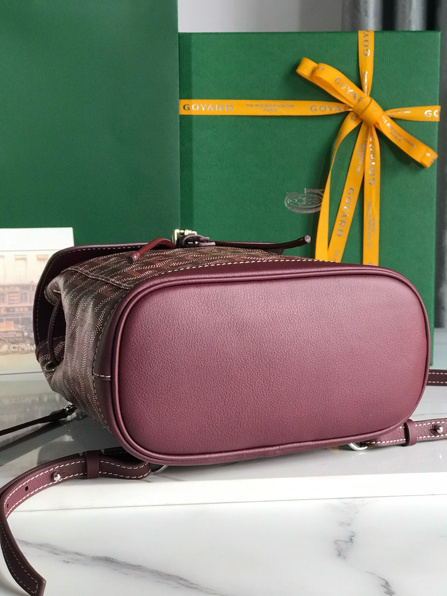 Goyard Mini Alpin Backpack