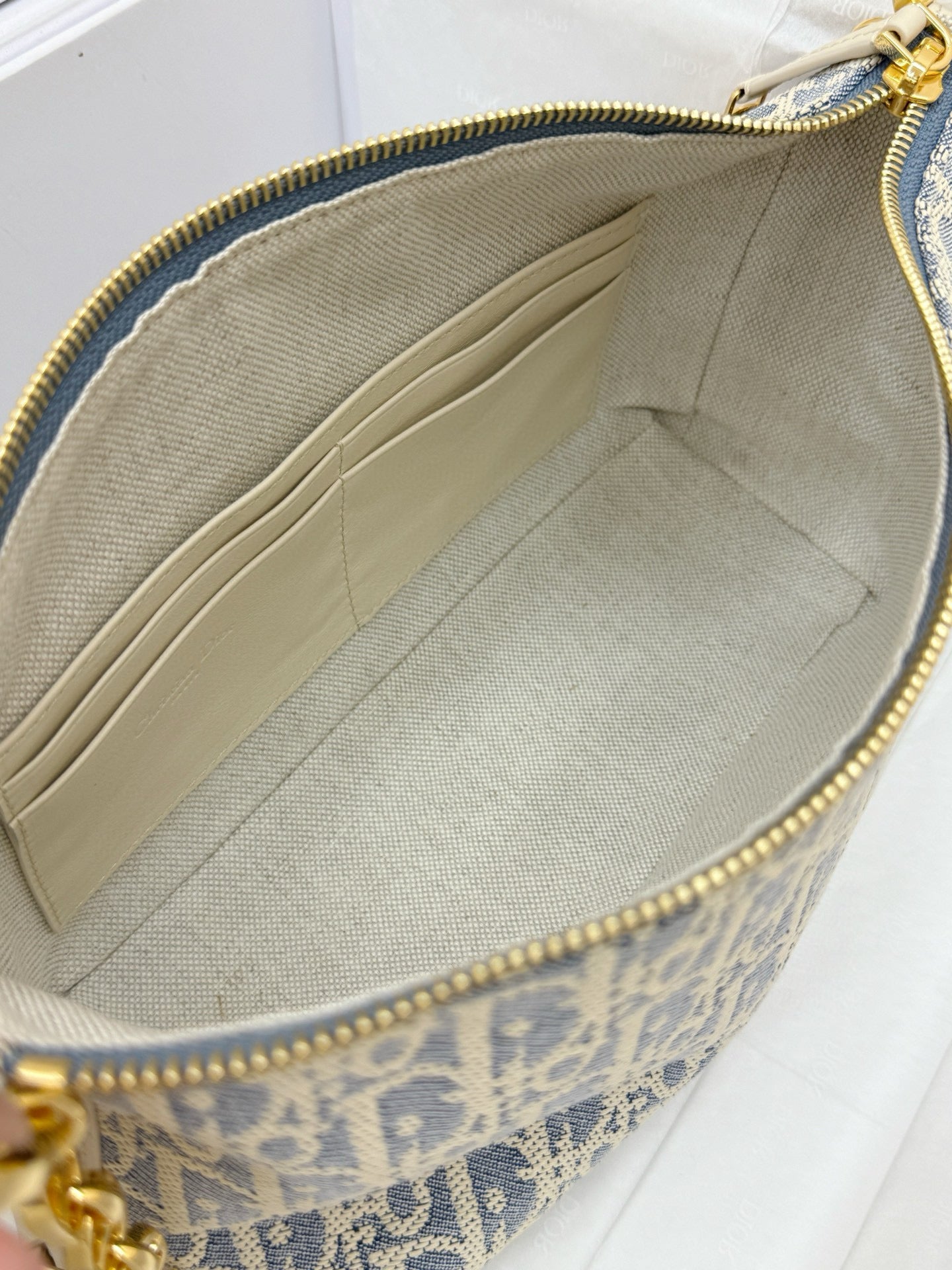 Dior Hobo Bag