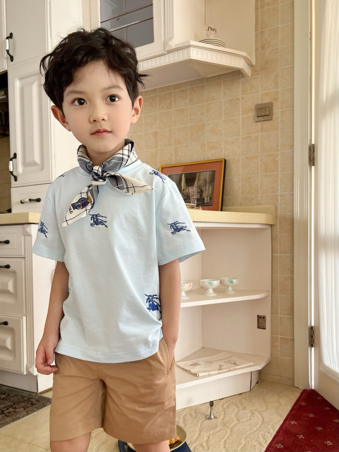 Burberry Shirt/Short Set