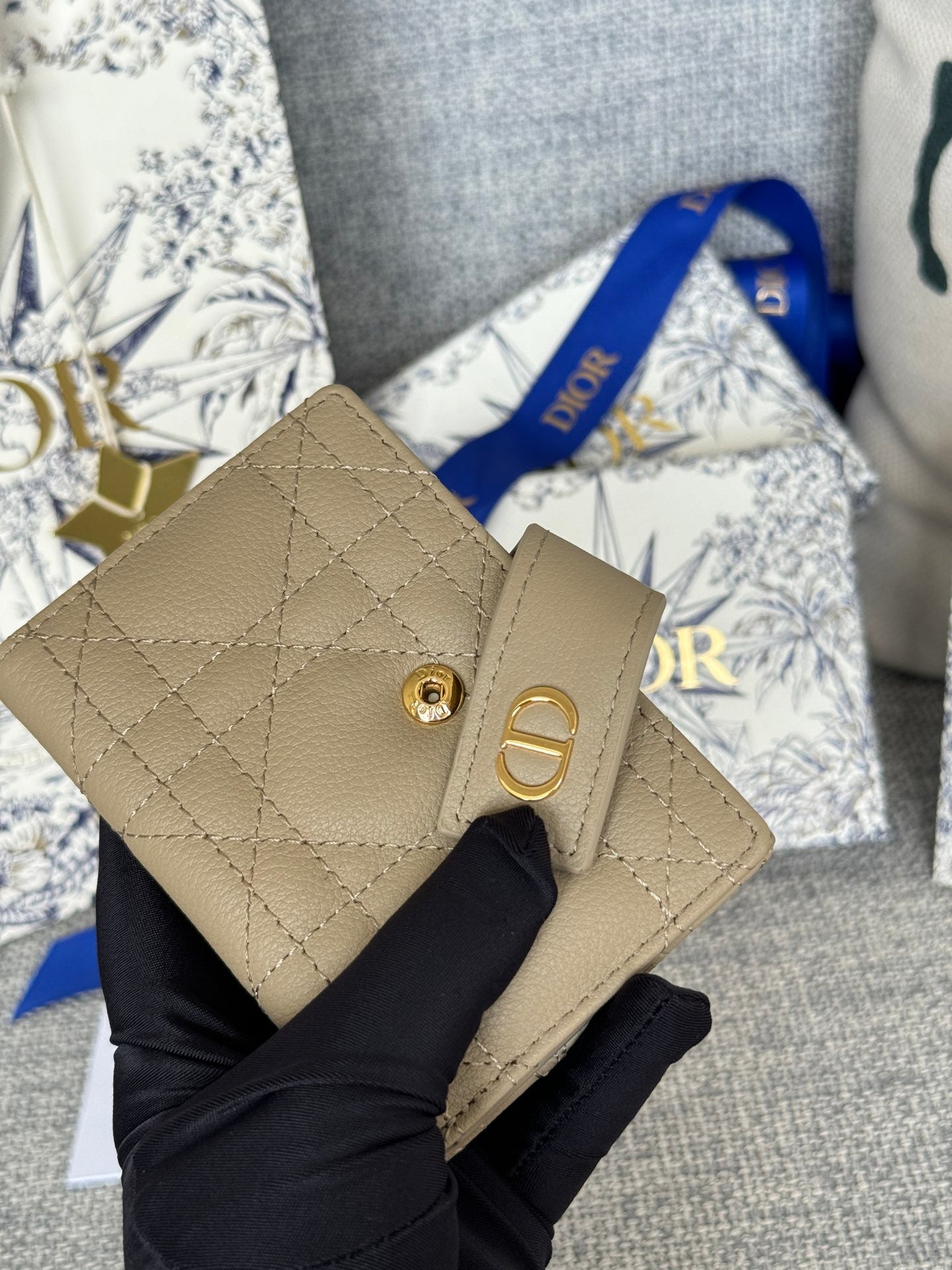 Dior Wallet