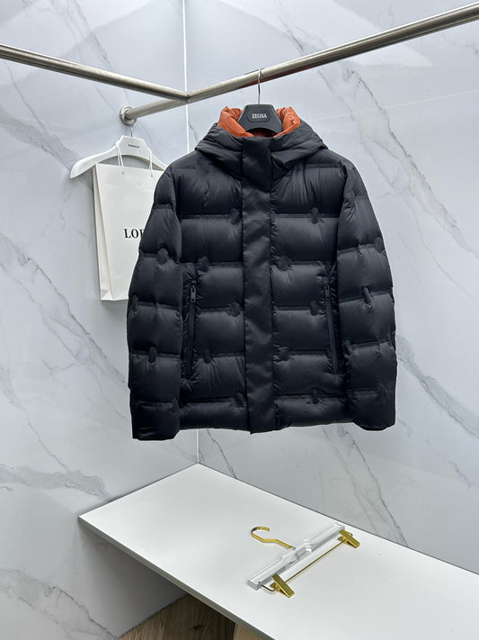 Zegna Down Jacket