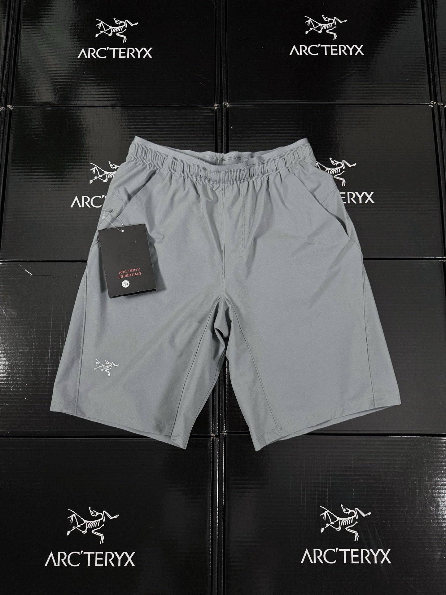 Arcteryx Short