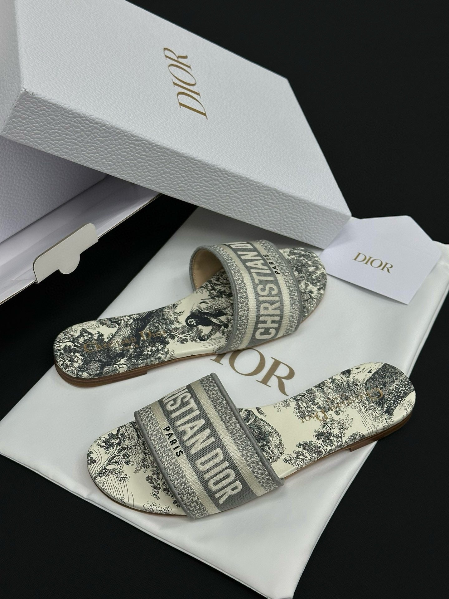 Dior Sandals