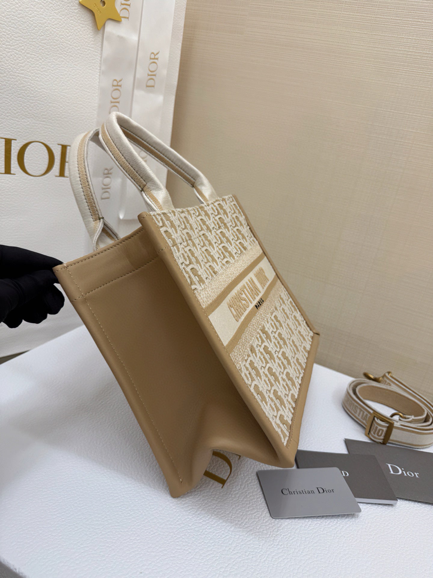Dior Book Tote Bag