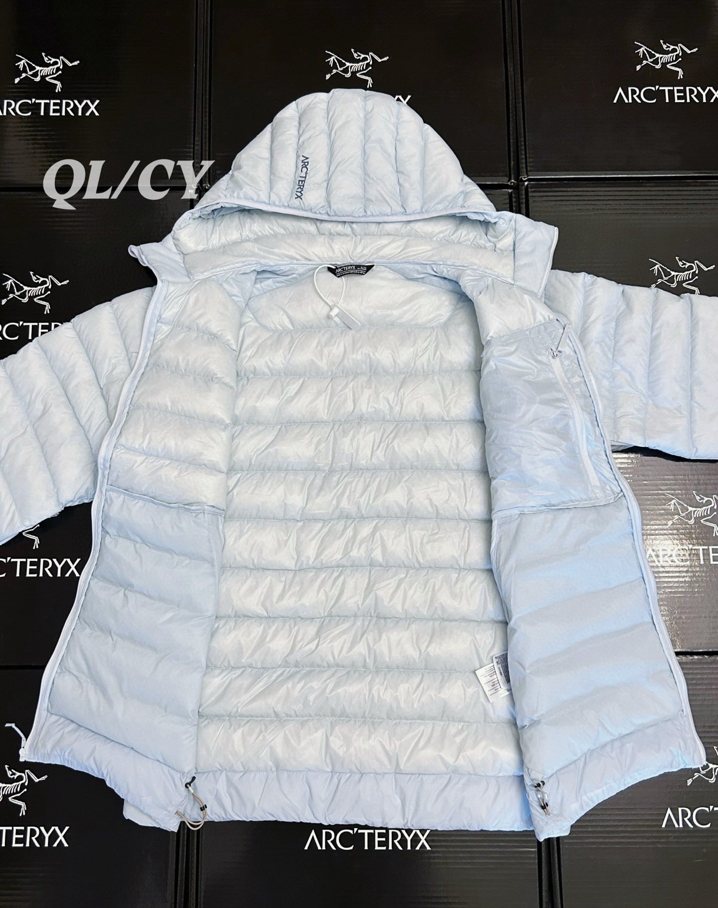 Arcteryx Down Jacket