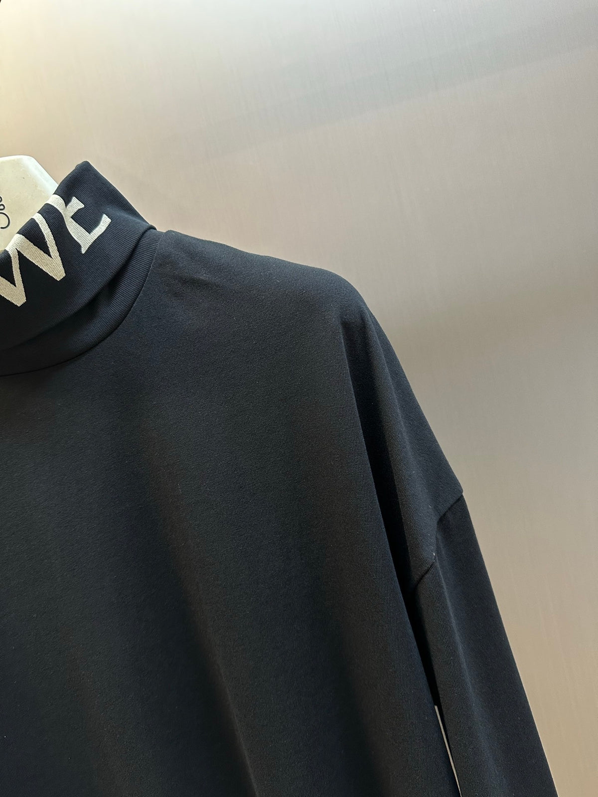 Loewe Sweater