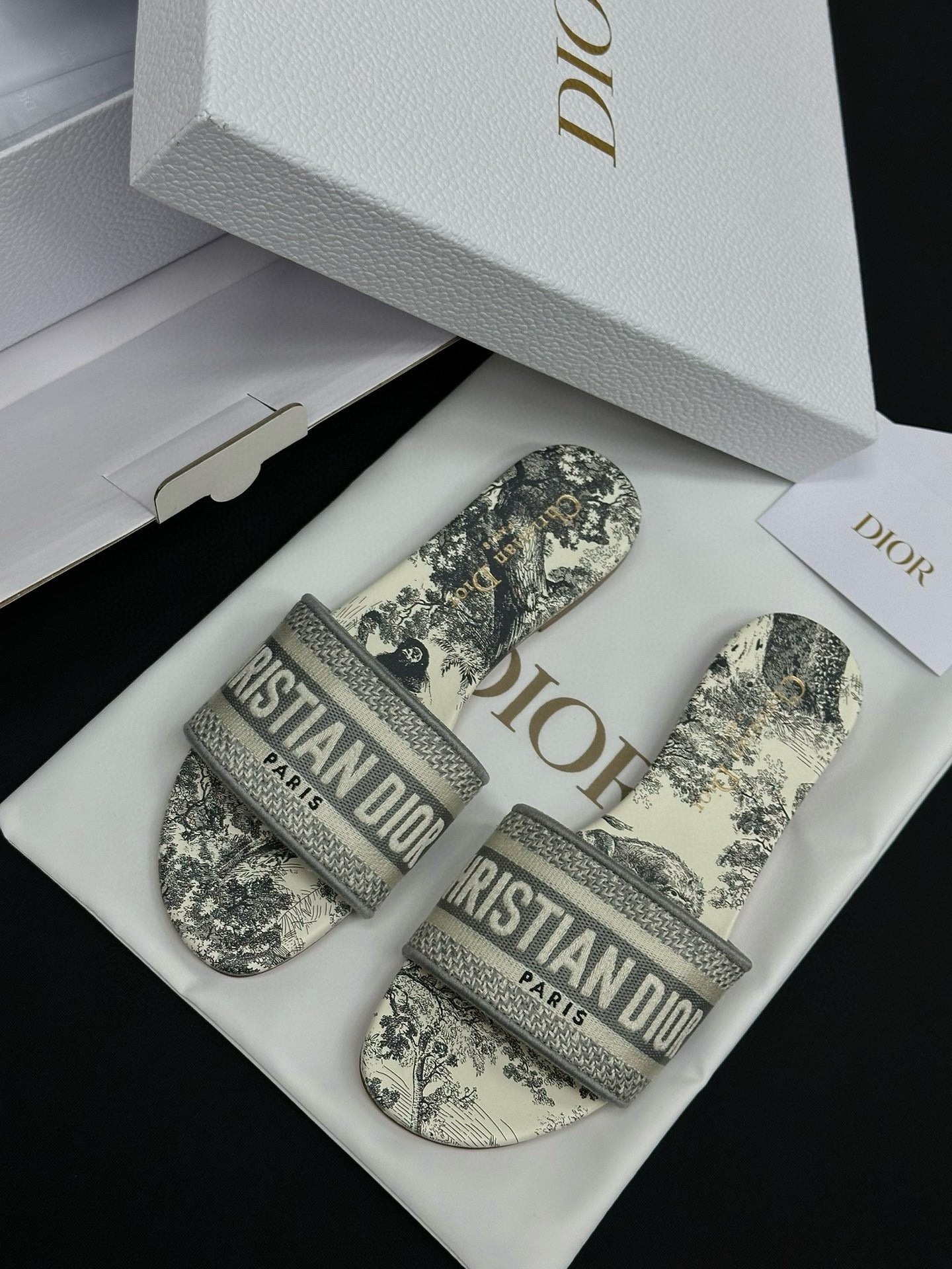 Dior Sandals