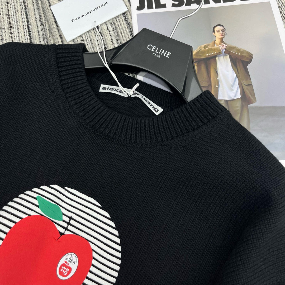 Alexander Wang Sweater