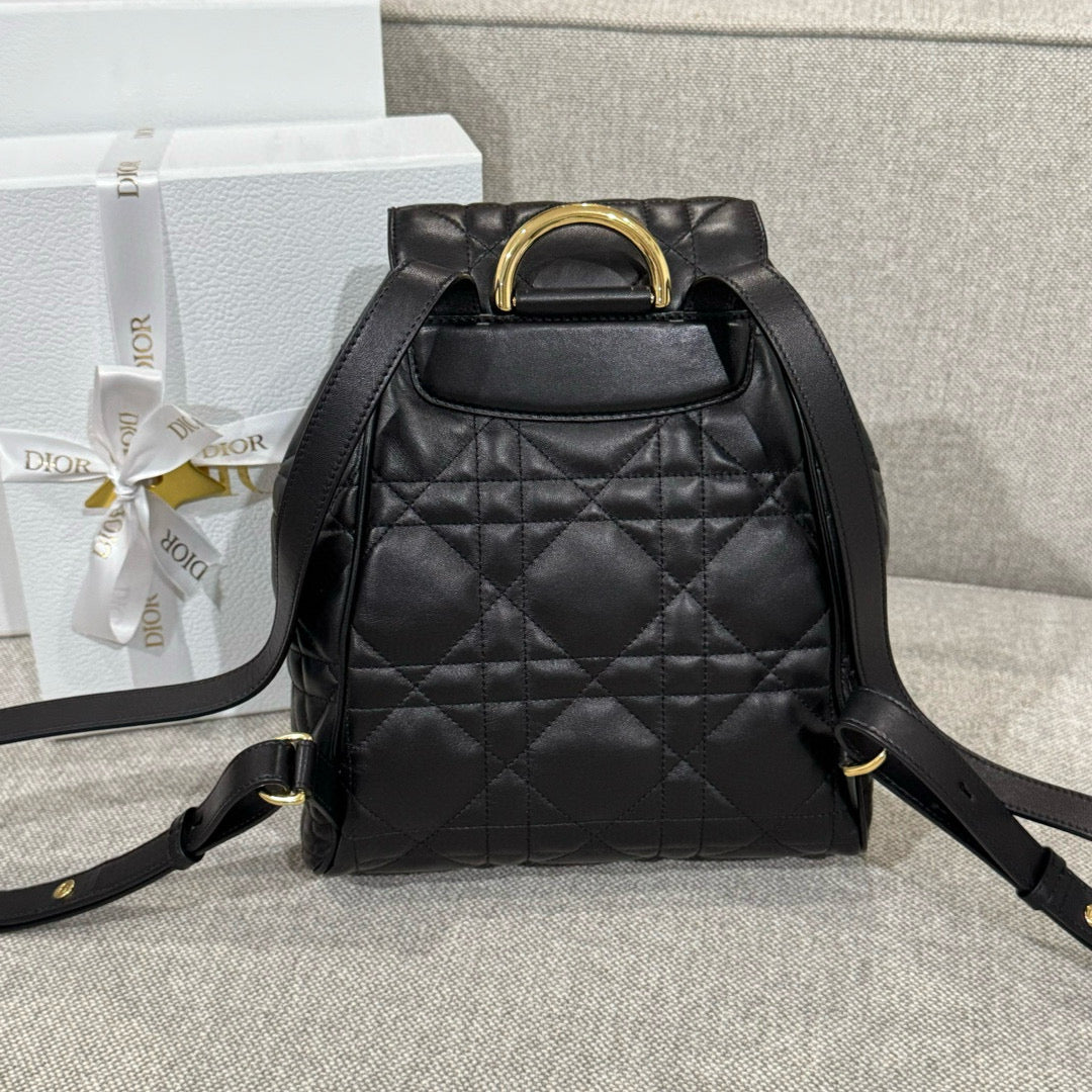 Dior Backpack