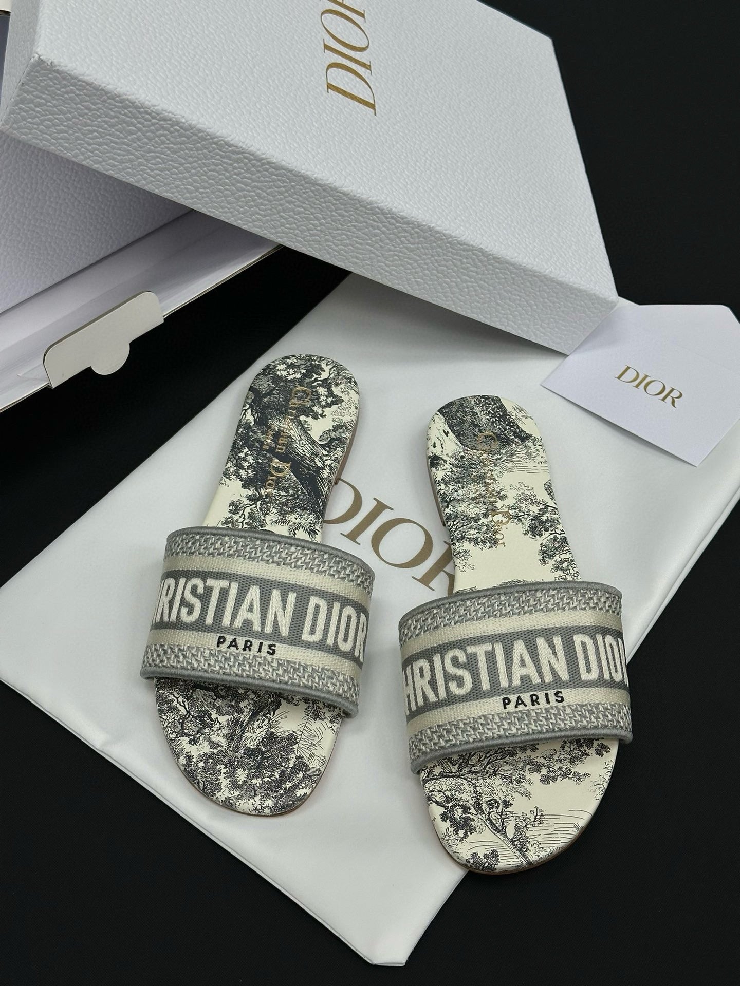 Dior Sandals
