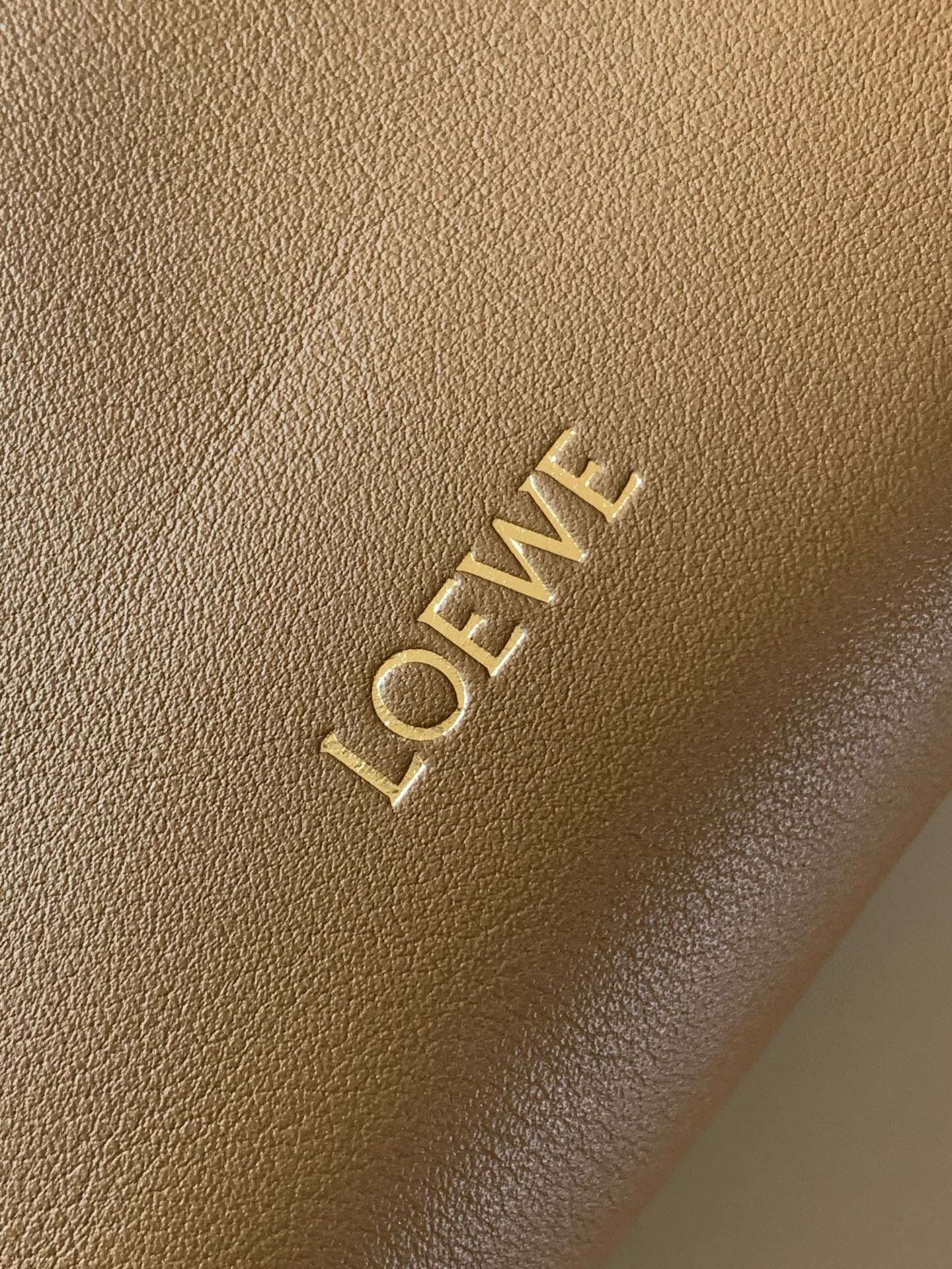 Loewe Pebble Leather