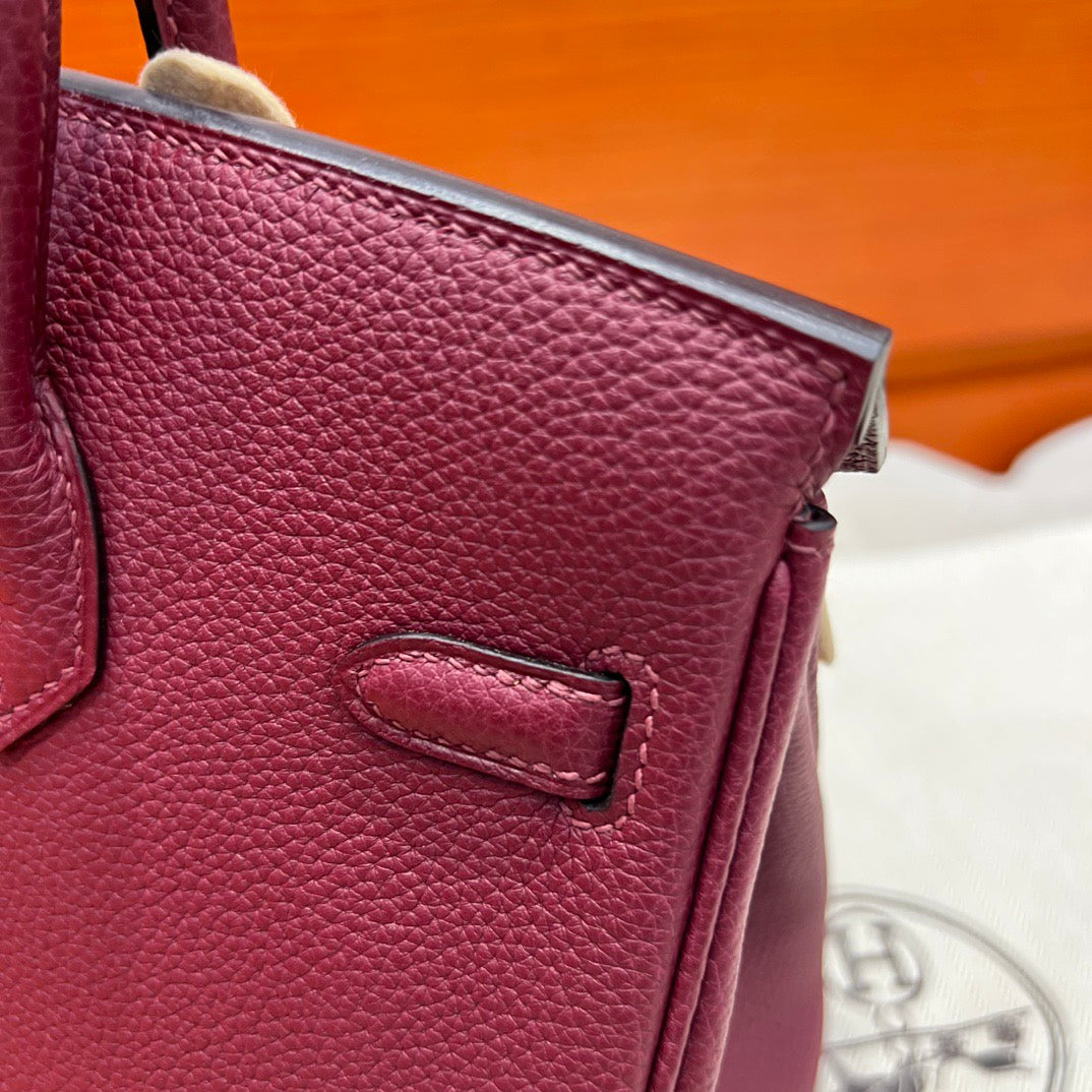 Hermes Birkin 25