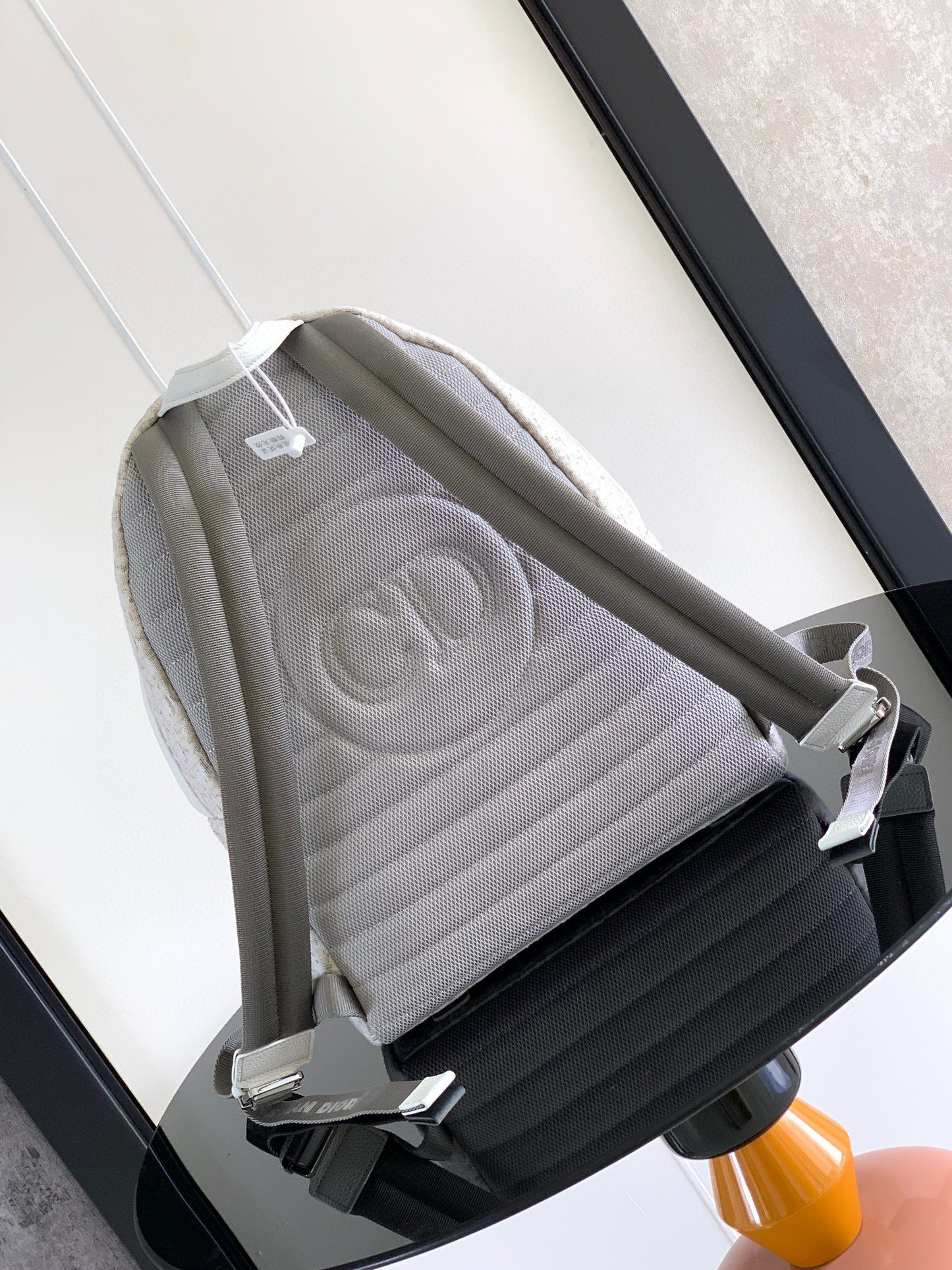 Dior Backpack