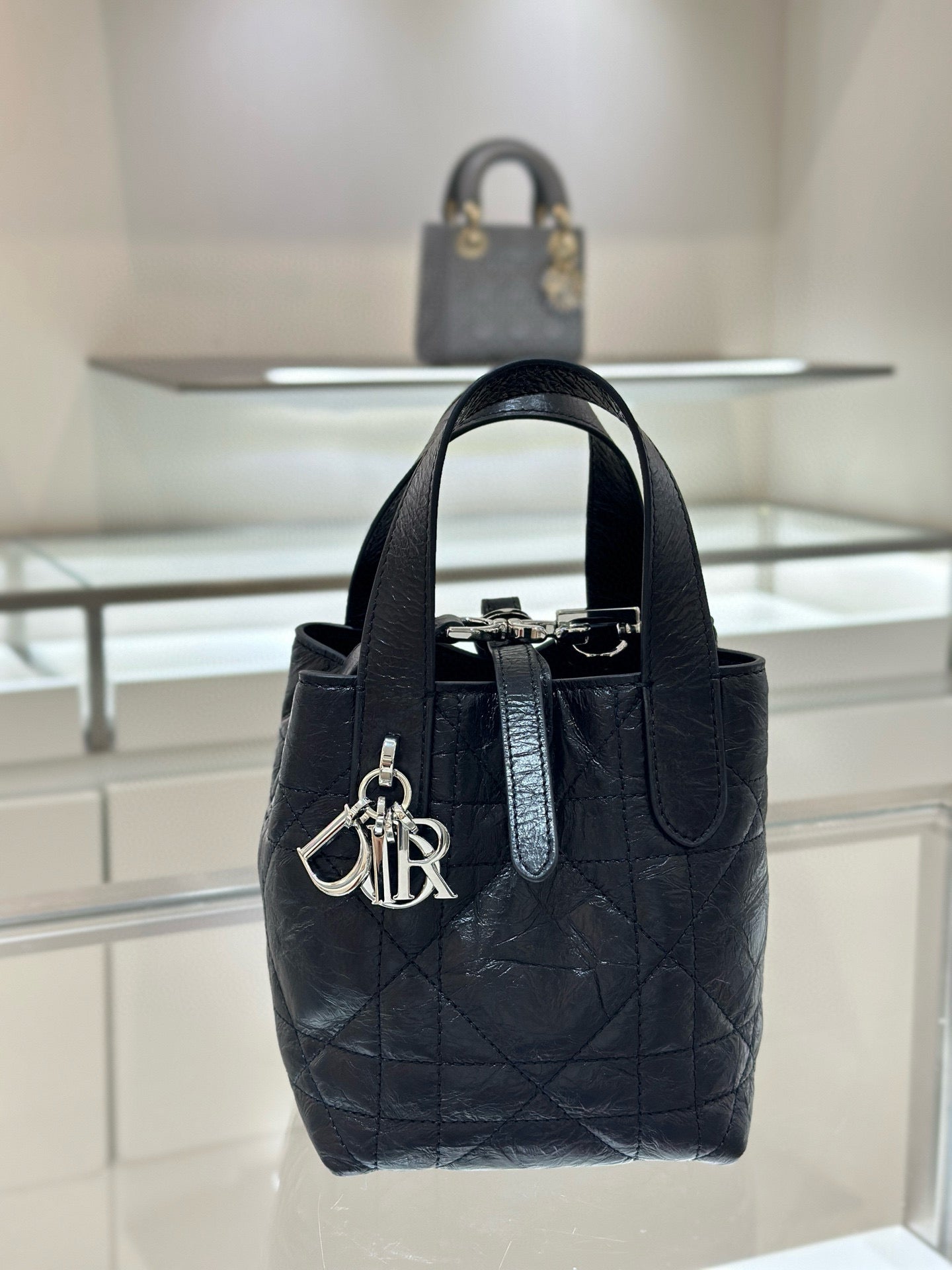 Dior Toujours Mini Bag